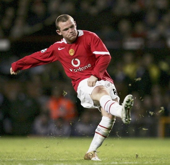 网球带来了 网球带来了